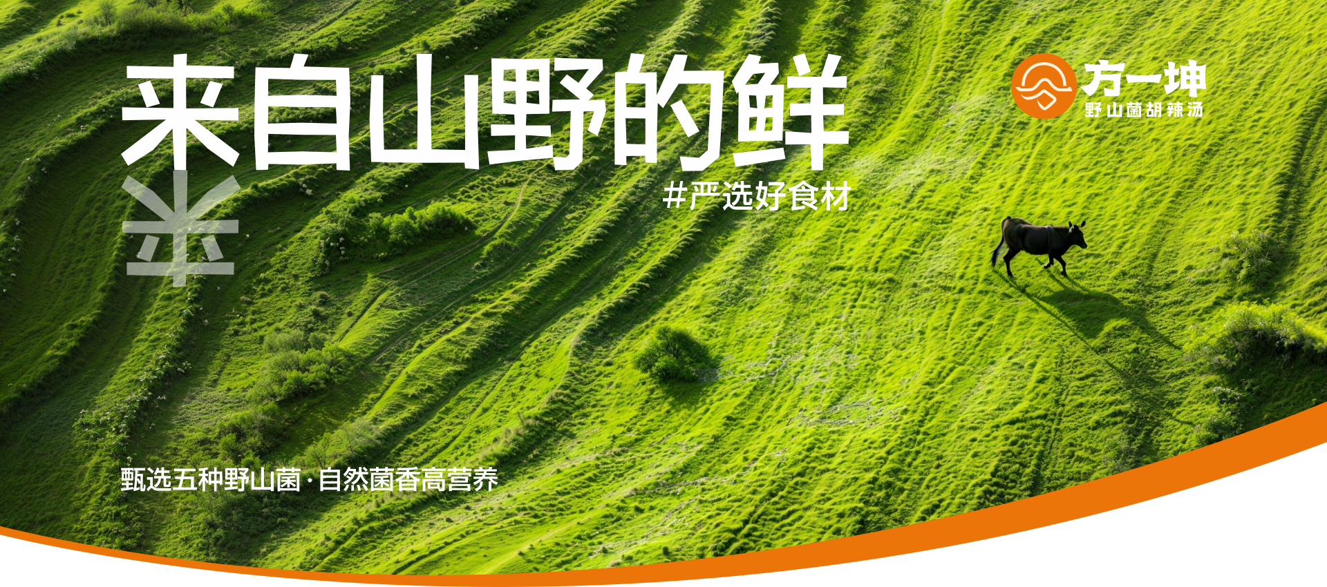 方一坤网页设计